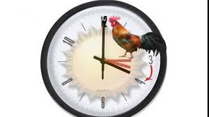 We did not find results for: Ora De VarÄ 2018 Cand Se Vor Da Ceasurile Inainte Èi Vom Dormi Mai PuÈin Cu O OrÄ Ziarul Unirea