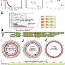 Maintenance of animal cell lines. 11897 Pdfs Review Articles In Cell Line Maintenance