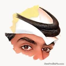 Image result for tbn:Ao0Usy--_pPGEM::www.mekshat.com/pix/upload/images49/mk42658_houssparrow.jpg