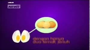 Protein ditemukan pada makanan berbasis hewani dan nabati. 5 Makanan Yang Mengandung Protein Tinggi Youtube