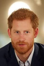 Pin by E Russell Primm