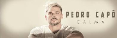 Puerto Rican Singer Songwriter Actor Pedro Capo Set To Perform In Los Angeles Vesper Public Relations Explore pedro capó's net worth & salary in 2020. puerto rican singer songwriter actor