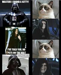 25 Times The Internet Made Star Wars Hilarious Star Wars Memes Star Wars Characters Star Wars Humor