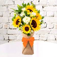 Get well gifts for kids Send Get Well Soon Flowers Get Well Soon Gifts Online Ferns N Petals