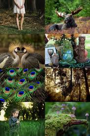 Mother Earth Magical Moodboard Motherearth Nature Lovetheearth Magical Magic Magicmoodboard Gaia Noplanetb Ilovenature Animal Animals Animallove See