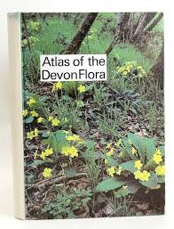 Stella & Rose's Books