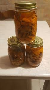 Le preparazioni casalinghe sono, al gusto, ben più buone rispetto a quelle industriali. Zucca Grigliata Sott Olio Il Club Delle Ricette Segrete