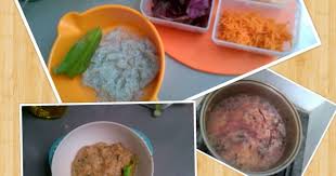 Resep Bubur Teri Merah Merona Mpasi 9 Bulan Oleh Suri Patricia Resep Resep Makanan Bayi Makanan Resep