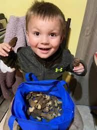 Walking in Hocking County State Parks, SE Ohio