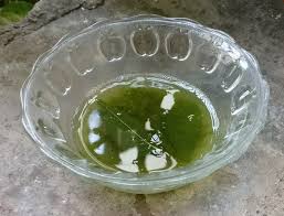 Explore a wide range of the best hair serum on aliexpress to find one that suits you! How To Use Curry Leaves For Hair Growth Curry Leaves Hair Oil