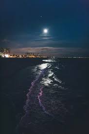 Check spelling or type a new query. Beach At Night Tumblr Beach Nice