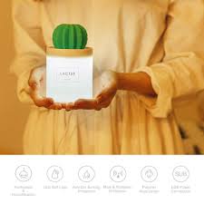 So, hey….how's it goin' there, you and your cactus? Yoga Home Baby Room Beautylifee Mini Cactus Humidifier Diffuser Usb Portable Air Diffuser With Night Light