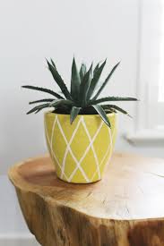 A Spiky Succulent In A Pineapple Pot Succulent Pots Diy Painted Plant Pots Pineapple Planting