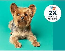 Petsmart Promo Code Grooming Coupons Promo Codes March 2019 Petsmart Grooming Coupons Petsmart Grooming Petsmart