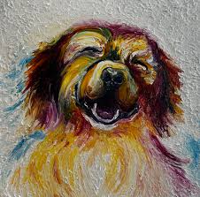 Still one of my all time favorites 🐾