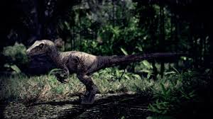 Best 43 Velociraptor Desktop Backgrounds On Hipwallpaper Beautiful Widescreen Desktop Wallpaper Desktop Wallpaper And Naruto Desktop Backgrounds Dinosaur raptor jurassicworld jurassicpark dinosaurs blue jurassic dino tyrannosaurusrex. velociraptor desktop backgrounds on