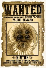 Bird Of Prey That Feeds On Fish 6 Letters Chronicle Books Bestsellers New Releases Unique Books Gifts Star Wars Poster Star Wars Fandom Star Wars Collection