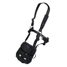 Licol Museliere Cheval Hkm