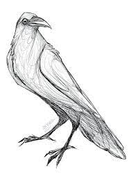 Pin On Drawing