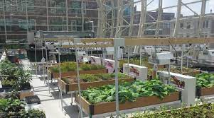 Loyola Greenhouse Lab Google Search Agriculture Projects Growing Gardens Gardening Design Diy