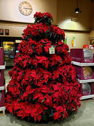 Shop subs & sandwiches online at wegmans. Christmas At Wegmans November 21 2019 Sagittarius Dolly