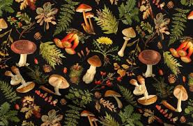 Unique designs on hard and soft cases and covers for iphone 12, se, 11, iphone xs, iphone x, iphone 8, & more. Woodland Fabric Thanksgiving In The Forest On Black Antique Etsy In 2021 Mushroom Wallpaper Green Witch Aesthetic Wallpaper Cottagecore Wallpaper