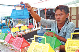 Berbicara cupang tak akan ada matinya karena jenis ikan cupang sendiri sangat beragam, baik dari. Akuarium Mini Kian Diminati Medanbisnisdaily Com