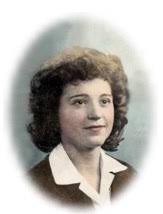 The North Georgia News