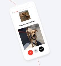 Let your local pet professionals find the the right companion pet that suits the needs of both our customer and please review and comment on our facebook or google accounts. Zocdoc Founder Returns With Shadow An App That Finds Lost Dogs Techcrunch