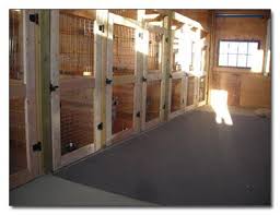 Bark away is a holistic, comprehensive and caring environment for your dog. Dog Tag Colorado Dog Boarding Doggie Daycare And Dog Training Dog Boarding 410x315 Dog Boarding Kennels Dog Kennel Designs Indoor Dog Kennel