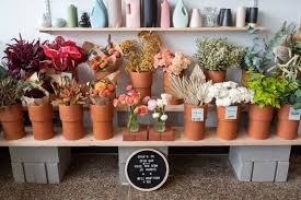 Find opening times and closing times for flowers by michelle in 6510 n. Slow Flowers Podcast Archives Debra Prinzing