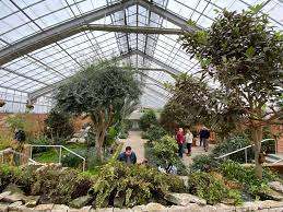 Check spelling or type a new query. Matthaei Botanical Gardens To Close Tuesday Until Further Notice