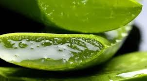 Namun, anda harus tahu, bahwa obat alami itu sifatnya memperbaiki secara keseluruhan. Cara Menghilangkan Ketombe Dan Rambut Rontok Secara Alami Cepat Permanen Beauty Fimela Com