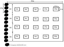 Nitrogen Transfer to Forage Crops from a Caragana Shelterbelt