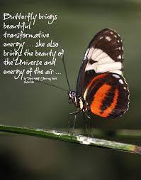 The butterfly spirit animal has the potential of playing a very important role in the overall development of your life, but only if you are willing to let it enter and work its magic on you. Butterfly Totem Medicine Butterfly Spirit Animal Animal Spirit Guides Animal Totem Spirit Guides