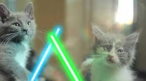 About press copyright contact us creators advertise developers terms privacy policy & safety how youtube works test new features press copyright contact us creators. Jedi Kittens Youtube