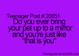 Tumblr Teenager Posts Funny Funny Quotes Teenager Quotes