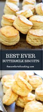 best ever buttermilk biscuits  the