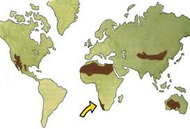 When you have eliminated the javascript , whatever remains must be an empty page. Namib Desert Of Africa