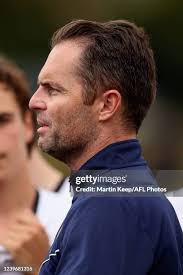 98 Photos & High Res Pictures