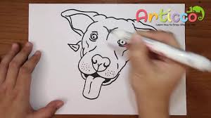 Pencil drawings drawings skulls drawing step by step drawing tutorial easy drawings fruits drawing flower drawing drawing tutorial. How To Draw A Pitbull S Head Step By Step Youtube