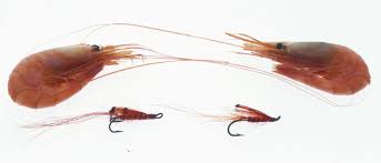 Collection by robert schoeller • last updated 1 day ago. Salmon Flies To Bring To Nothern Norway Fishmadman Com