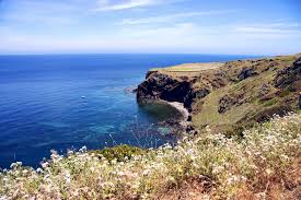 Plan to visit ustica, italy. Ustica Island Pictures Photo Gallery Of Ustica Island High Quality Collection