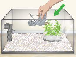 Fish tank decoration and fish tank plants fish tank decoration ideas fish tanks decorations,fish videos,fish tank,new videos,goldfish tank,betta fish tank. How To Clean An Old Fish Tank 12 Steps With Pictures Wikihow