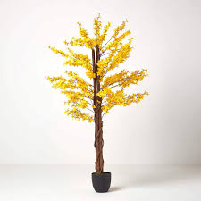 Check spelling or type a new query. Homescapes Artificial Yellow Silk Tree Artificial Forsythia Tree Measuring 5 Feet Tall Buy Online In Angola At Angola Desertcart Com Productid 59427155
