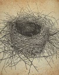 The australian magpie prefers open areas such as grassland, fields and residential areas such as parks, gardens, golf courses, and streets, with scattered trees or forest nearby. Magpie Nest Drawing Bird Nest Painting Bird Art Drawings