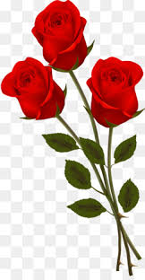 ✓ free for commercial use ✓ high quality images. Rose Love Flowers Free Download 645 1222 445 78 Kb