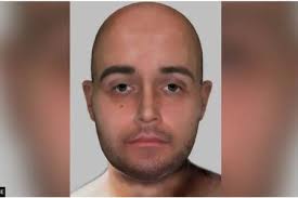 The 52-year-old Albanian was sentenced to eight years in prison for running  pubs in Scotland