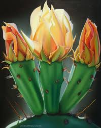 During this period give cacti a good watering and then let them dry. Trifecta Prickly Pear Bloom And Buds Dyana Hesson Cactus Flower Cactus Painting Flower Film
