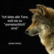 Pin Auf Spruche
